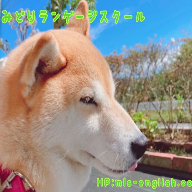 【大雨】皆様のお家は大丈夫でしたか？【広島】の画像